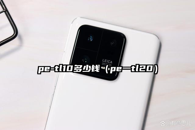 pe-tl10多少钱（pe一tl20）