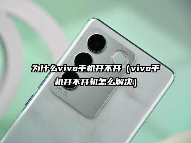 为什么vivo手机开不开（vivo手机开不开机怎么解决）