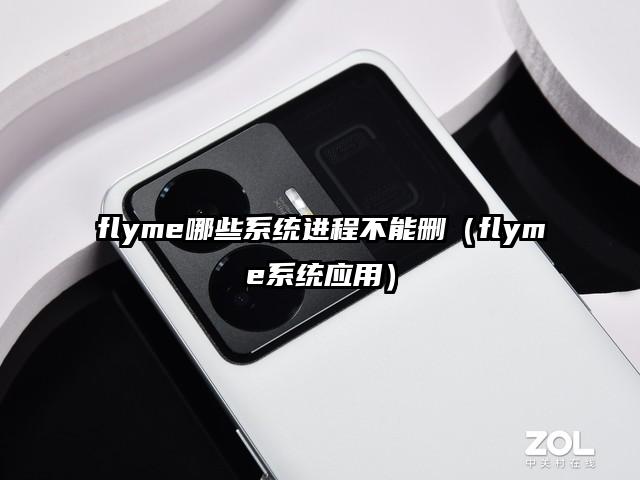 flyme哪些系统进程不能删（flyme系统应用）