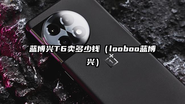 蓝博兴T6卖多少钱（looboo蓝博兴）