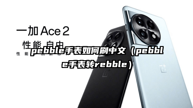 pebble手表如何刷中文（pebble手表转rebble）