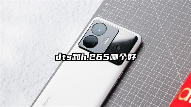 dts和h.265哪个好