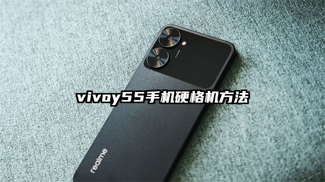 vivoy55手机硬格机方法