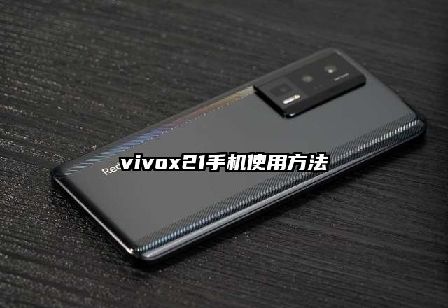 vivox21手机使用方法