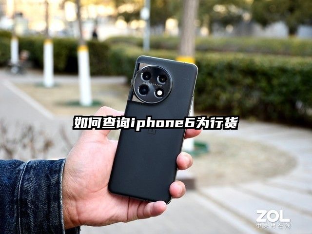 如何查询iphone6为行货