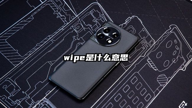 wipe是什么意思