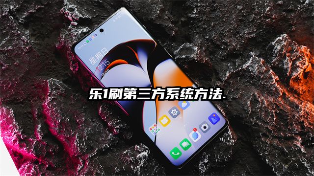 乐1刷第三方系统方法.